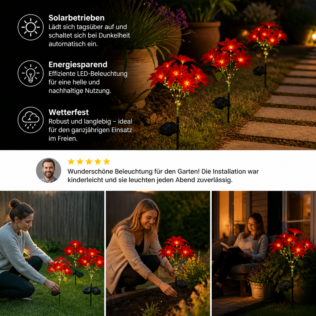 Solar-Weihnachtsstern-Gartenleuchten mit roten Blütenköpfen