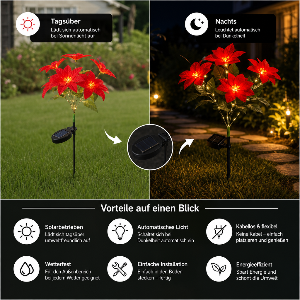 Solar-Weihnachtsstern-Gartenleuchten mit roten Blütenköpfen