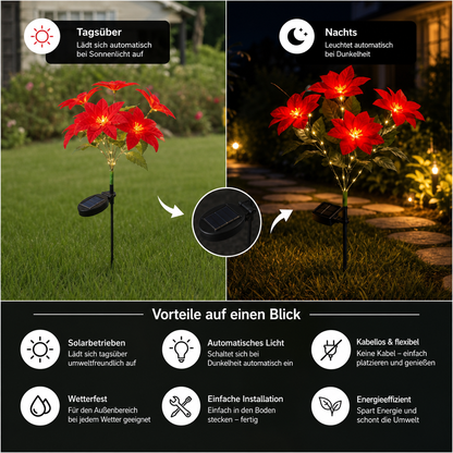 Solar-Weihnachtsstern-Gartenleuchten mit roten Blütenköpfen