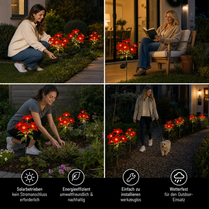 Solar-Weihnachtsstern-Gartenleuchten mit roten Blütenköpfen