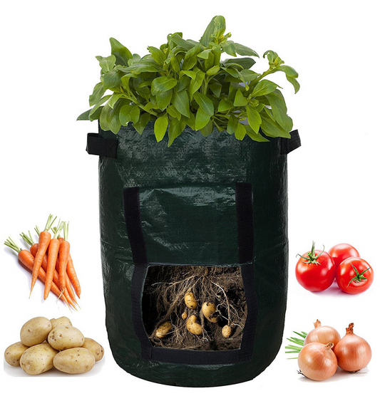 Pflanzsack für Kartoffeln – Wiederverwendbar und mit Sichtfenster