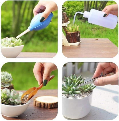 Sukkulentengarten-Werkzeug-Set mit Sprühflasche und Zubehör