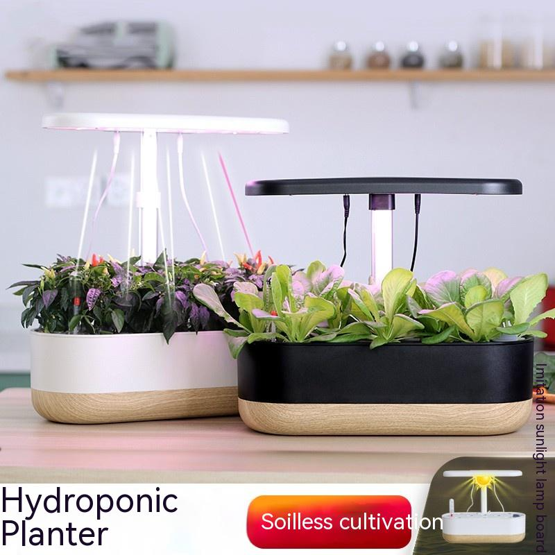 Intelligentes Hydroponik Set für Drinnen – Erdefreie Pflanzenzucht für Zuhause