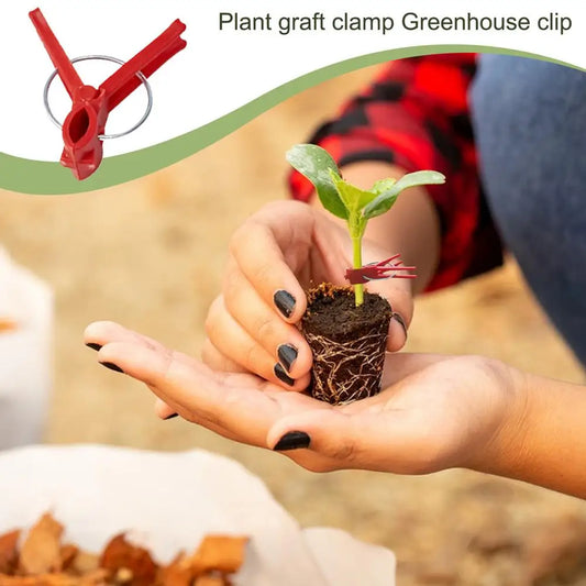 Kunststoff Veredelungsclips für Gartenpflanzen – Ideal für Gemüse und Pflanzenpflege