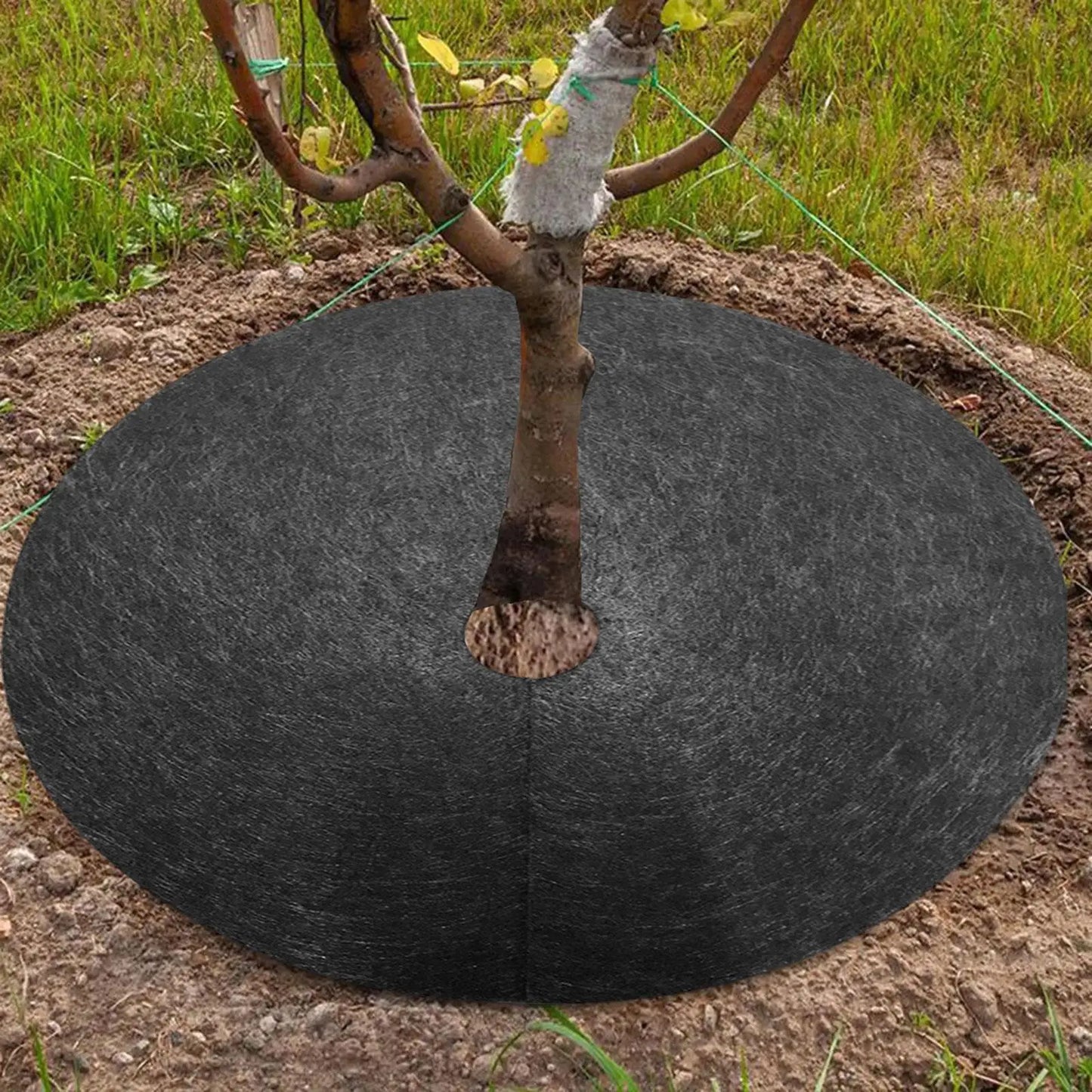 Unkrautvlies Baumscheibe – Atmungsaktive Wurzelschutzmatte für Garten und Pflanzen